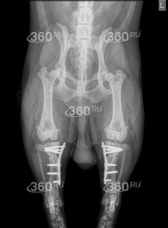 Иллюстрация 3