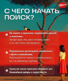 Иллюстрация 3