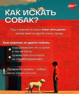 Иллюстрация 1