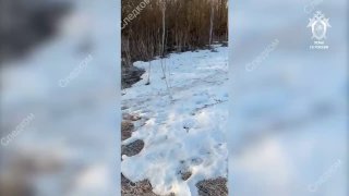 Подозреваемого в расправе над 17-летним подростком задержали