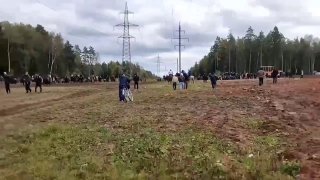 Организатора игры в кок-бору в Подмосковье оштрафовали за нарушение правил