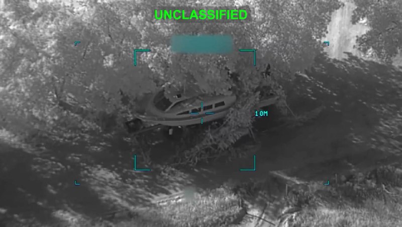 Иллюстрация 5