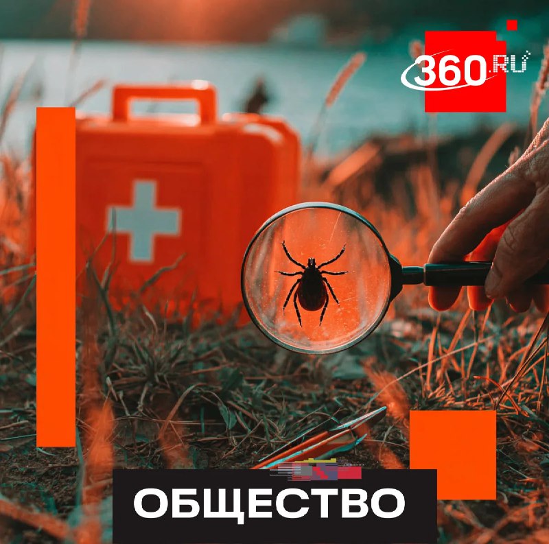 Как защититься от укуса клеща: советы врача