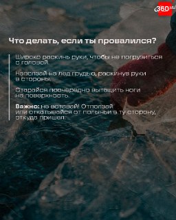 Иллюстрация 6