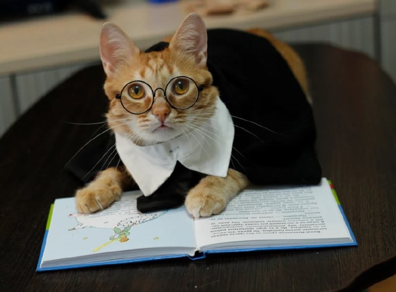 Иллюстрация 2