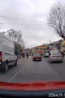 Пёс заблокировал дорогу водителю в Турции