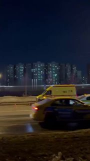 Питбуль укусил ребёнка за лицо в подмосковном Реутове