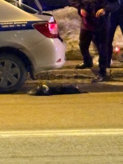 Иллюстрация 2