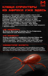 Новые агрессивные клещи расплодились по всей России: инструкция по выживанию