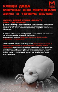 Иллюстрация 2