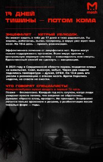 Иллюстрация 4