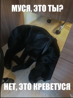 Иллюстрация 5