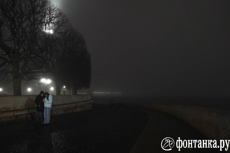 Туманные будни в Петербурге