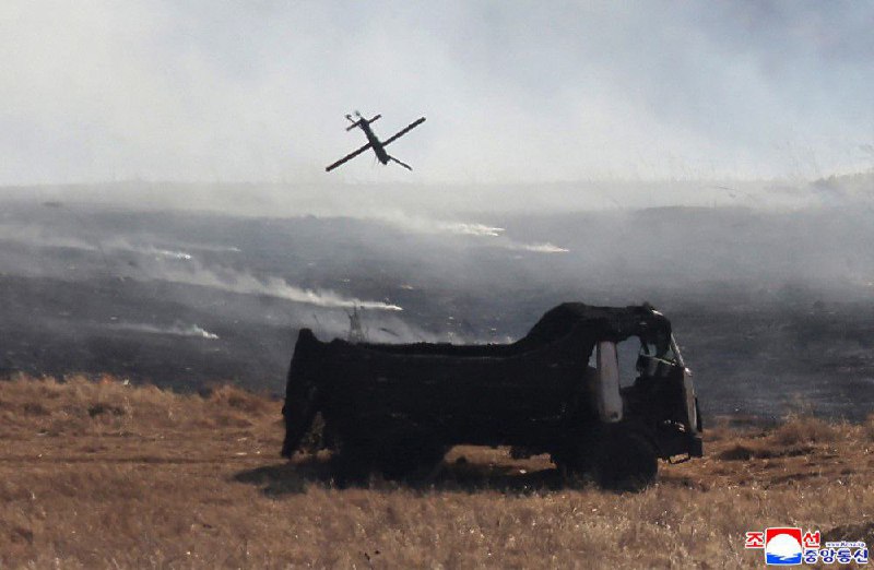 Иллюстрация 7