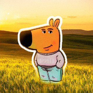 Весеннее равноденствие: когда стоит избегать ссор и стресса