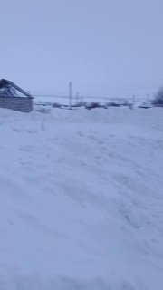 В селе Козиха возобновлен массовый забой скота без экспертизы