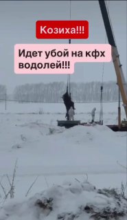 Иллюстрация 1