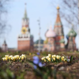 Москвичей ожидает прогрев на выходные