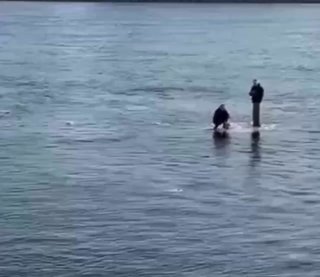 Два экстремала оседлали льдину на Неве и прыгнули в воду