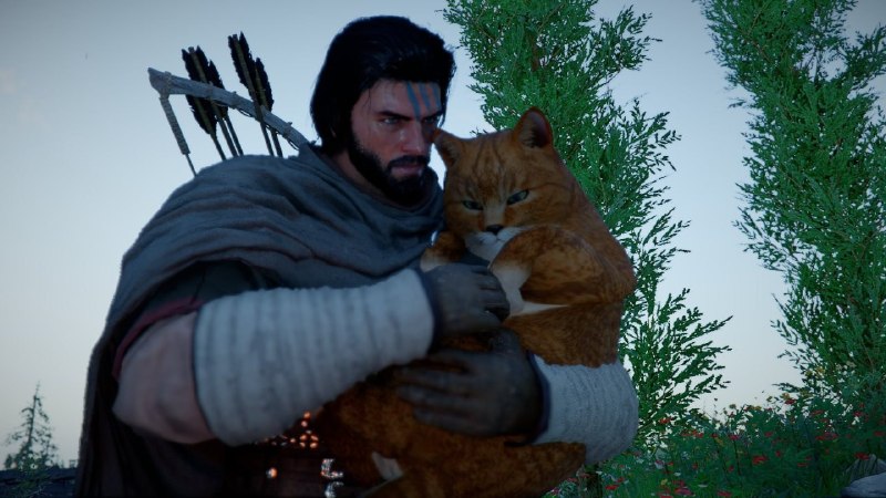 Иллюстрация 5