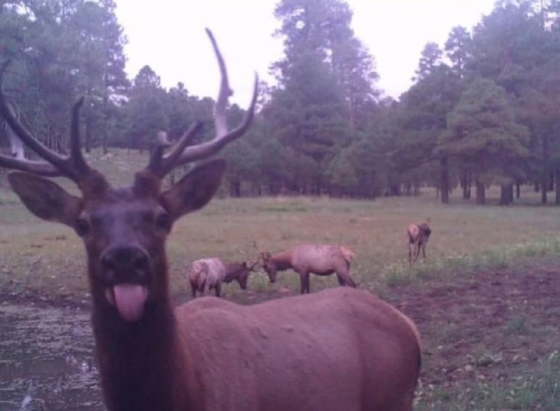 Иллюстрация 5