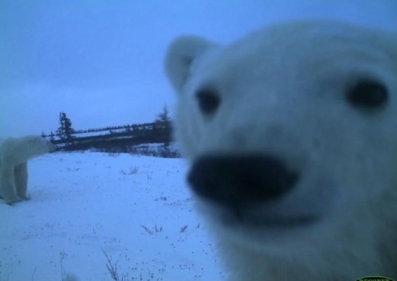 Иллюстрация 6