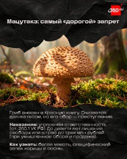Иллюстрация 2