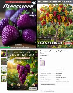 Как россиян обманывают на маркетплейсах ИИ-карточками несуществующих сортов растений