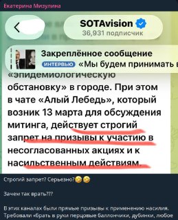 Мизулина обвинила движение «Алый лебедь» в призывах к насилию, несмотря на заявления организаторов о мирных акциях