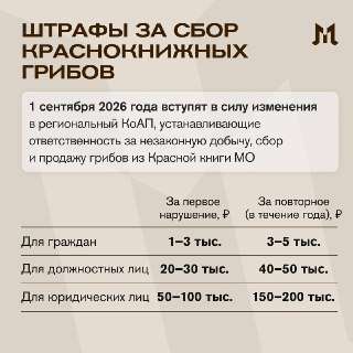 Иллюстрация 2