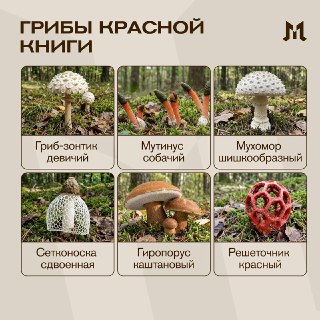 Иллюстрация 3