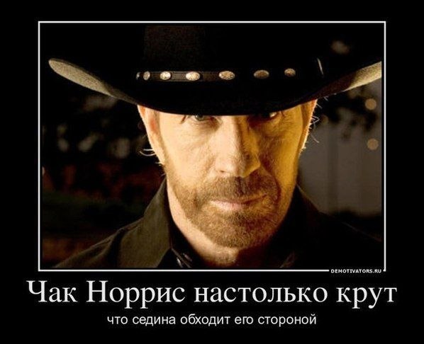 Иллюстрация 4