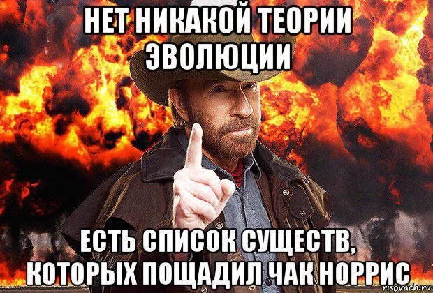 Иллюстрация 1