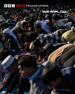 Иллюстрация 4