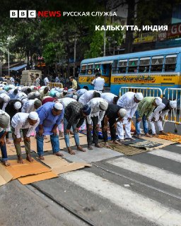 Иллюстрация 7