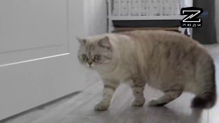 Боец вернулся с фронта и завёл семью