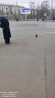 Крыса с набережной Черной речки как попытка ухватиться за здравый смысл