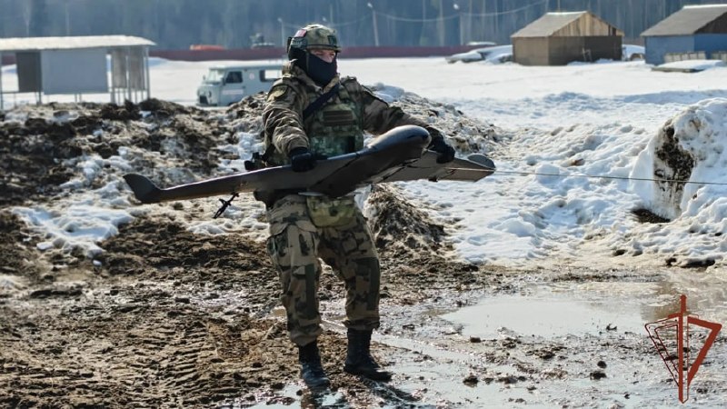 Иллюстрация 7