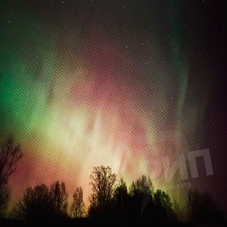 Иллюстрация 5