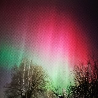 Иллюстрация 1