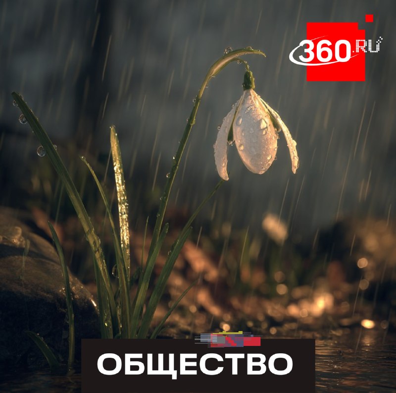 Краснокнижный подснежник может обойтись в миллион и даже в тюремный срок