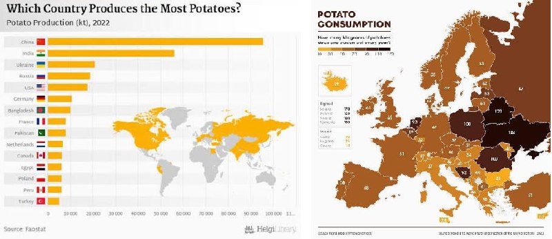 Жареная картошечка по цене красной икры: прогноз роста цен