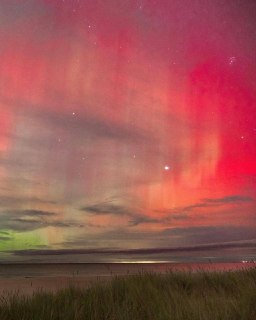 Иллюстрация 2