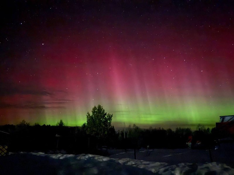 Иллюстрация 1