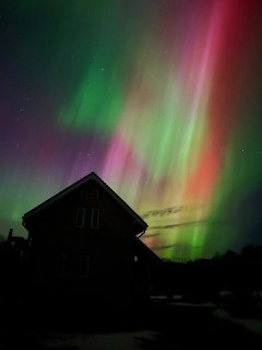 Иллюстрация 5