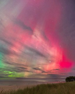 Иллюстрация 6