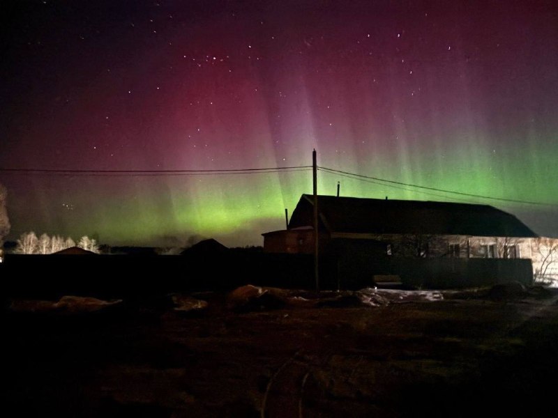 Иллюстрация 7