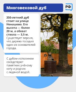 Иллюстрация 5