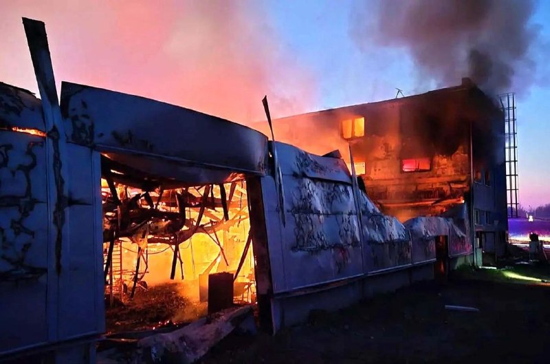 Иллюстрация 2