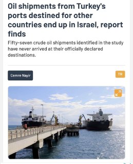 Эрдоган: Израиль заплатит за убийства, но нефть ему всё равно отправим